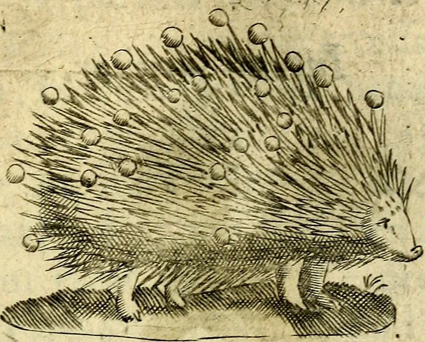 An illustration from Dévises héroiqves et emblèmes, 1622, leaf 198