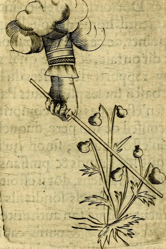 An illustration from Dévises héroiqves et emblèmes, 1622, leaf 202