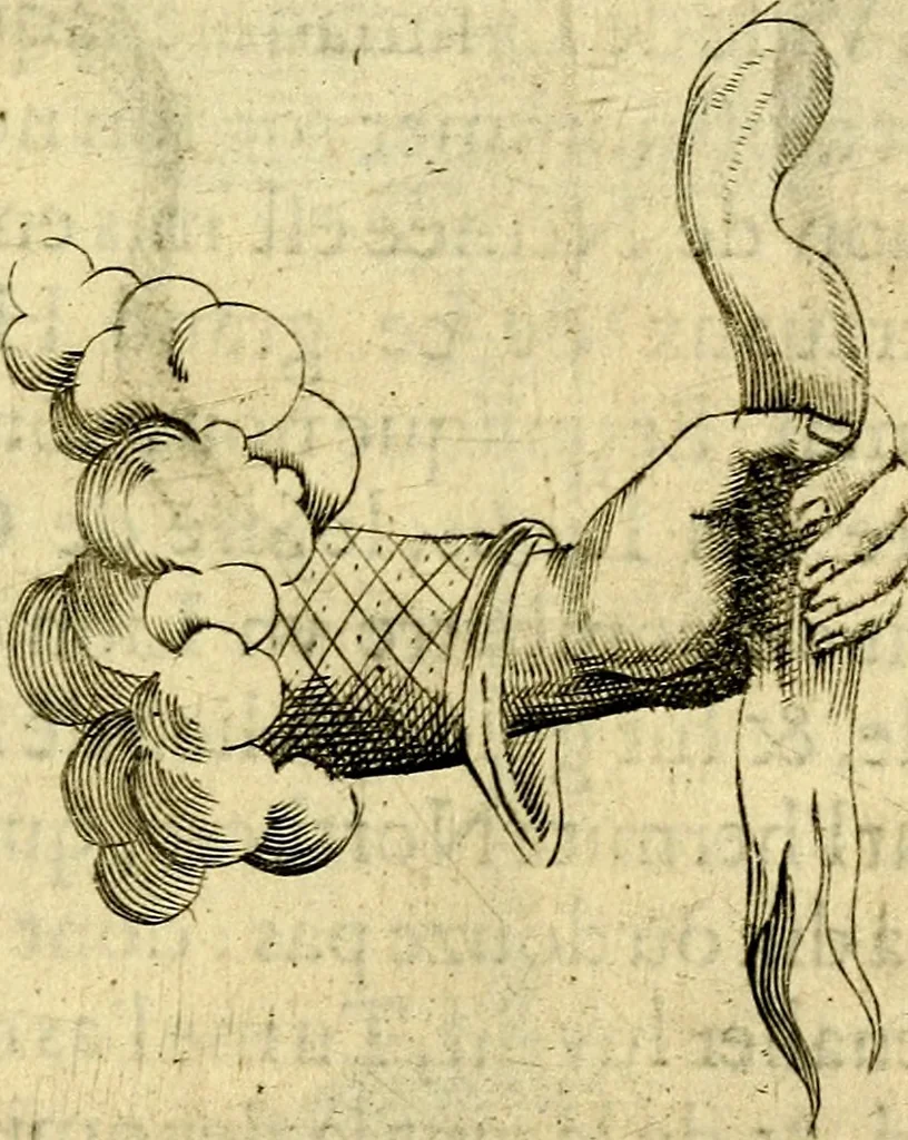 An illustration from Dévises héroiqves et emblèmes, 1622, leaf 208