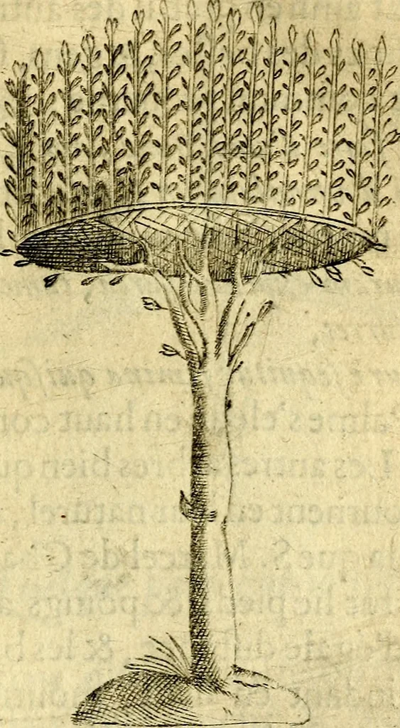 An illustration from Dévises héroiqves et emblèmes, 1622, leaf 210