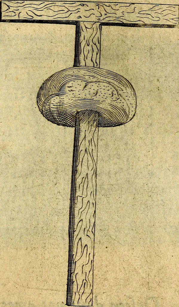 An illustration from Dévises héroiqves et emblèmes, 1622, leaf 24