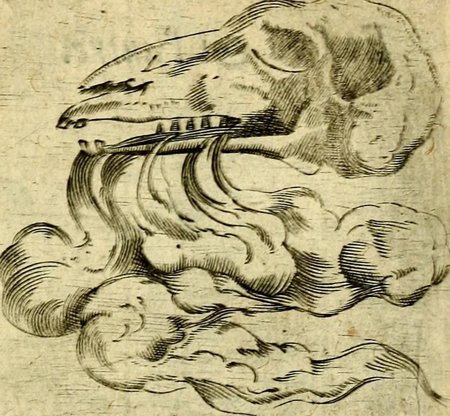 An illustration from Dévises héroiqves et emblèmes, 1622, leaf 246