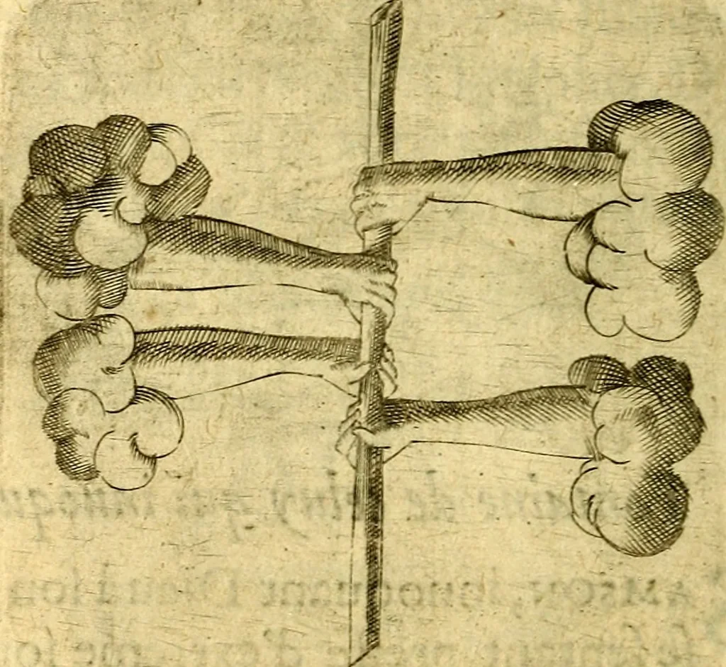 An illustration from Dévises héroiqves et emblèmes, 1622, leaf 247
