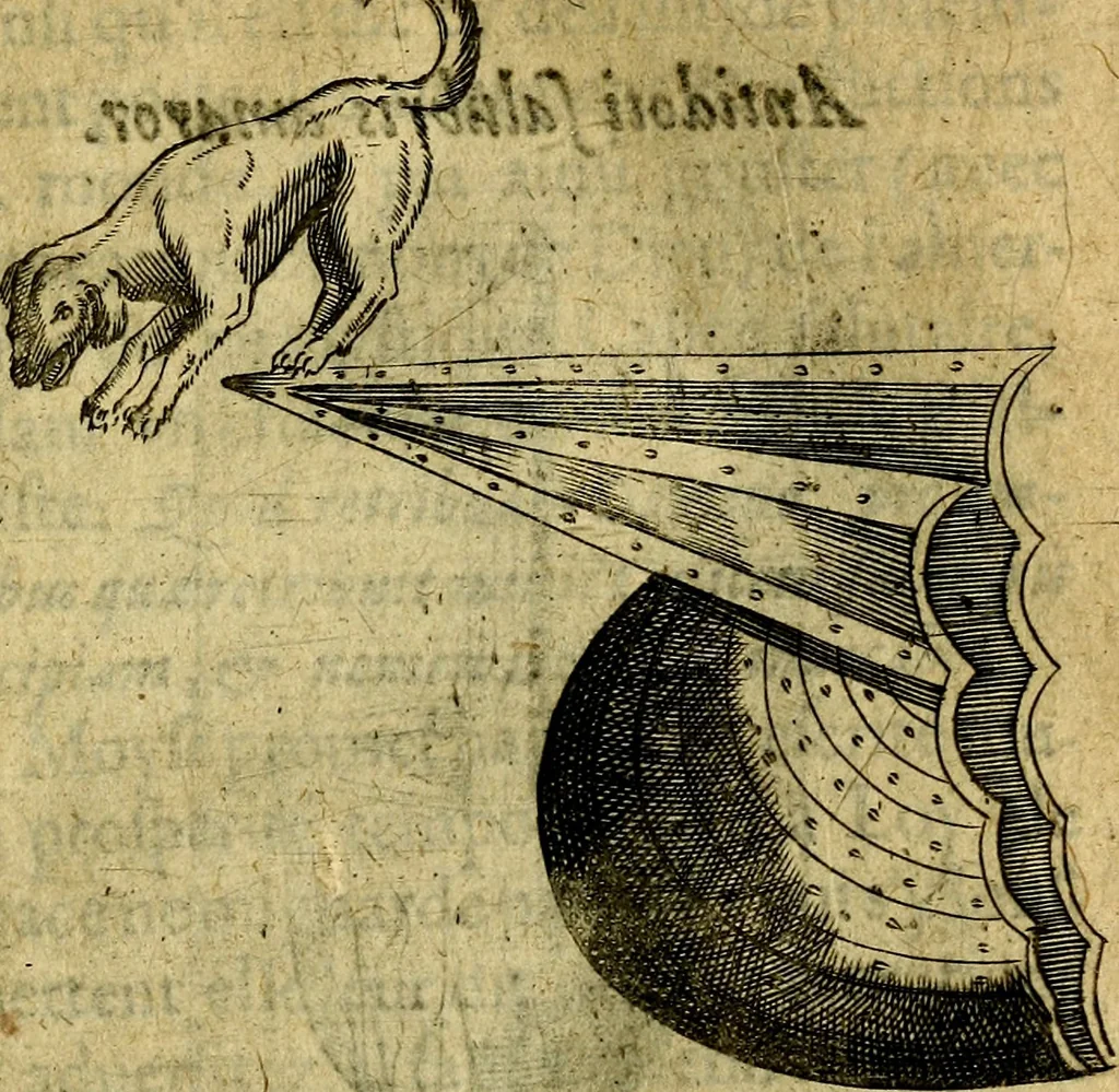 An illustration from Dévises héroiqves et emblèmes, 1622, leaf 260