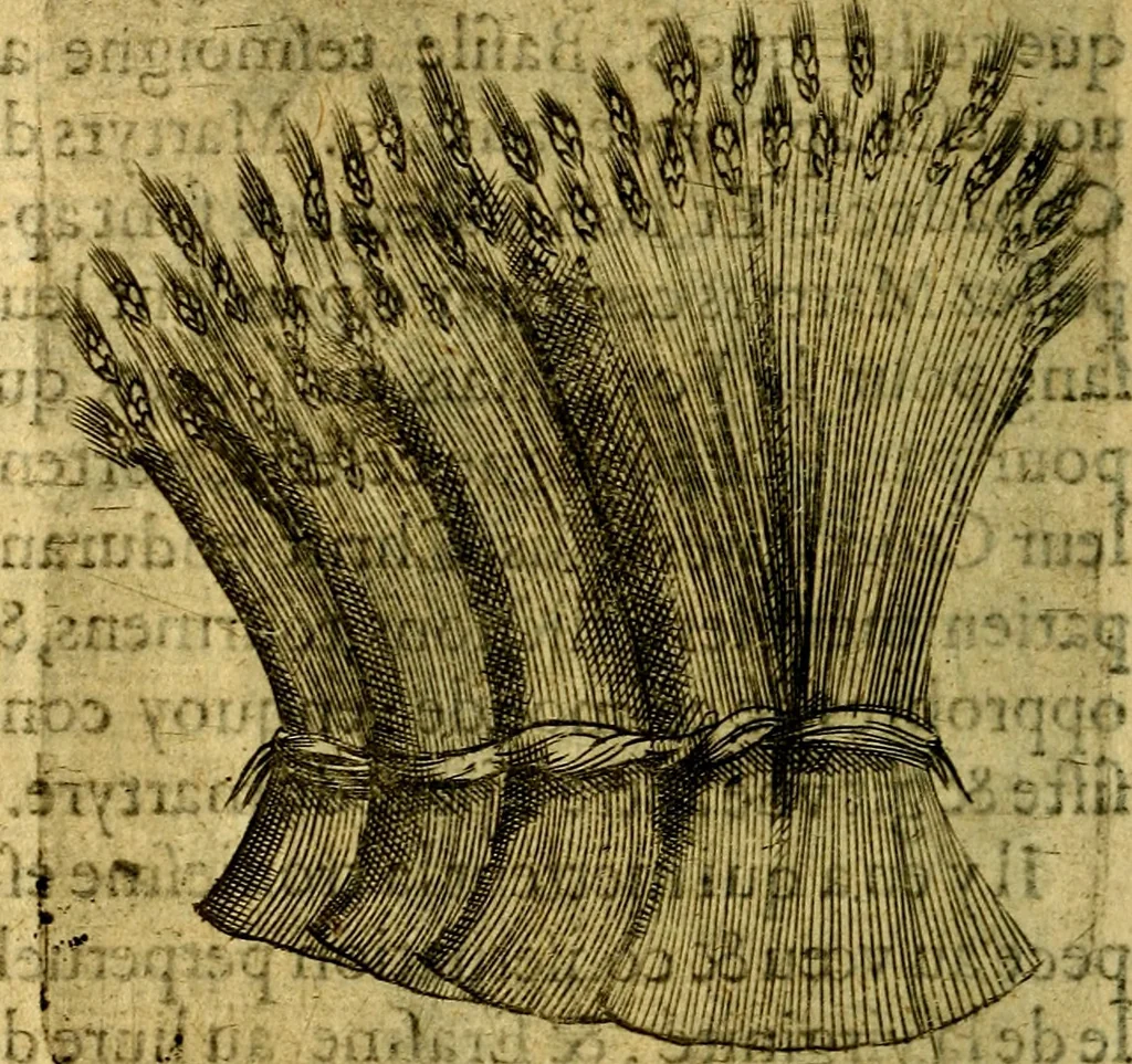 An illustration from Dévises héroiqves et emblèmes, 1622, leaf 265