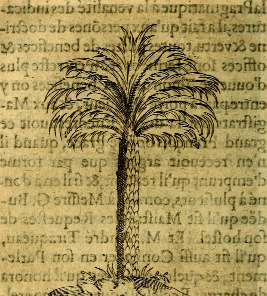 An illustration from Dévises héroiqves et emblèmes, 1622, leaf 271