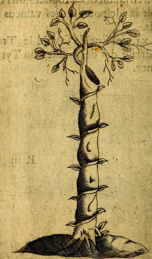 An illustration from Dévises héroiqves et emblèmes, 1622, leaf 277