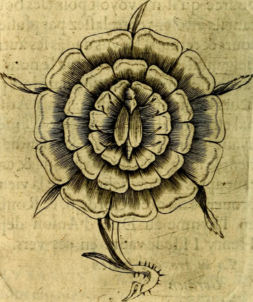 An illustration from Dévises héroiqves et emblèmes, 1622, leaf 289