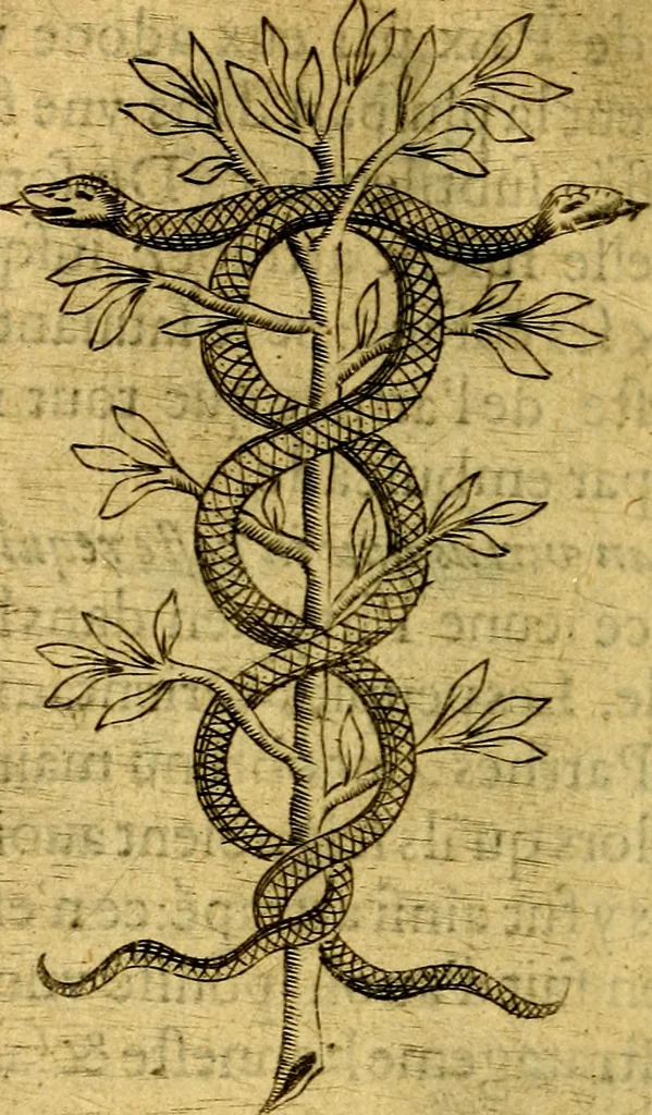 An illustration from Dévises héroiqves et emblèmes, 1622, leaf 307