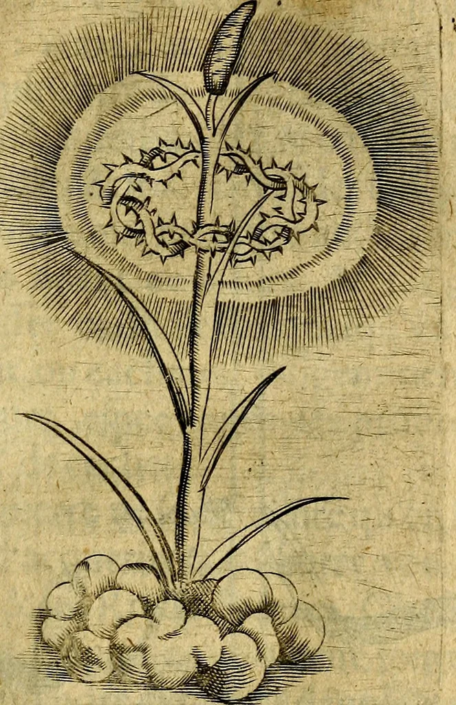 An illustration from Dévises héroiqves et emblèmes, 1622, leaf 316