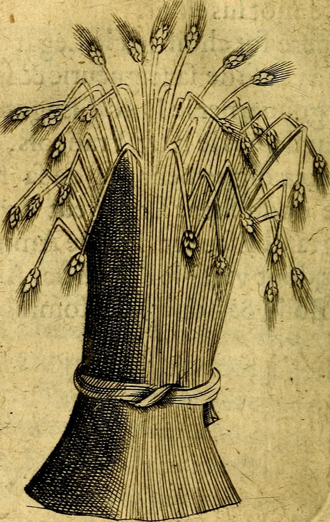An illustration from Dévises héroiqves et emblèmes, 1622, leaf 321