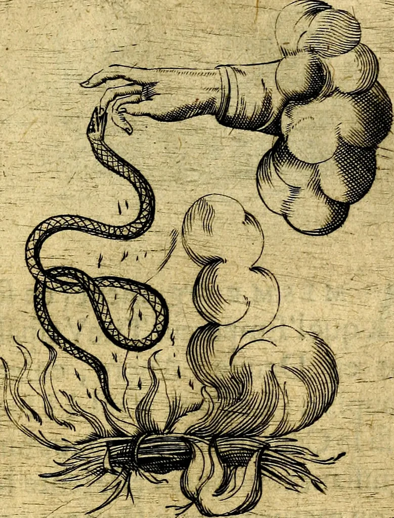 An illustration from Dévises héroiqves et emblèmes, 1622, leaf 326