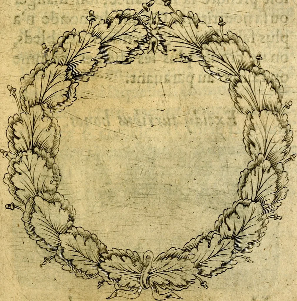 An illustration from Dévises héroiqves et emblèmes, 1622, leaf 340