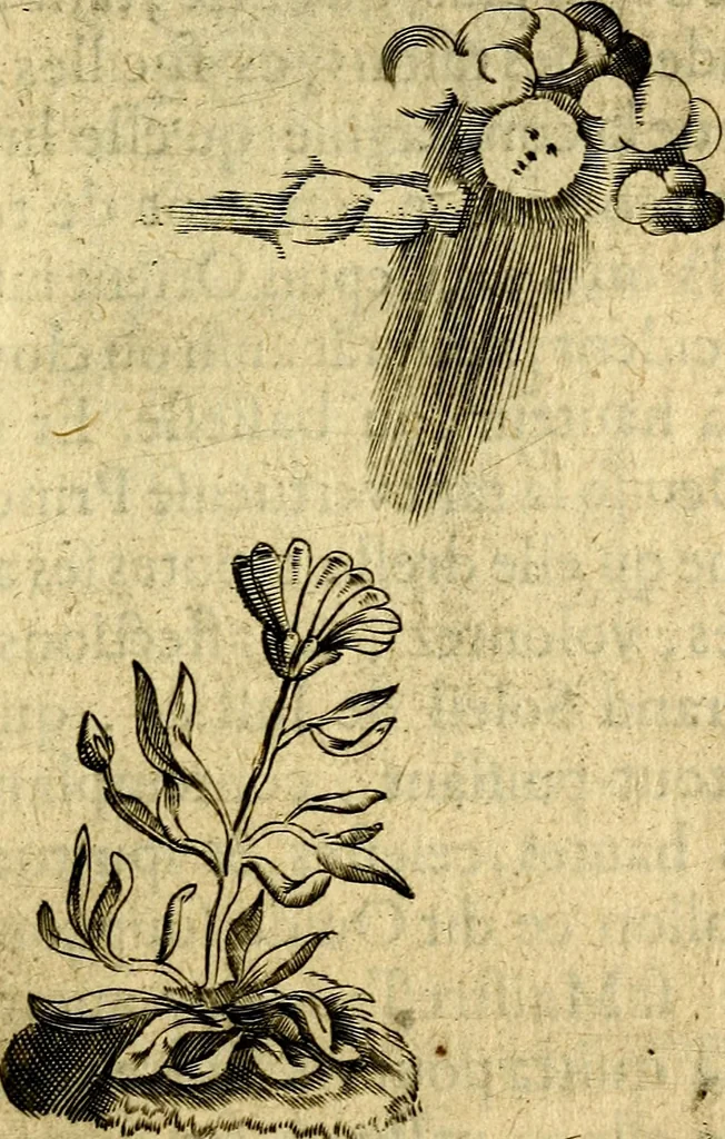 An illustration from Dévises héroiqves et emblèmes, 1622, leaf 60