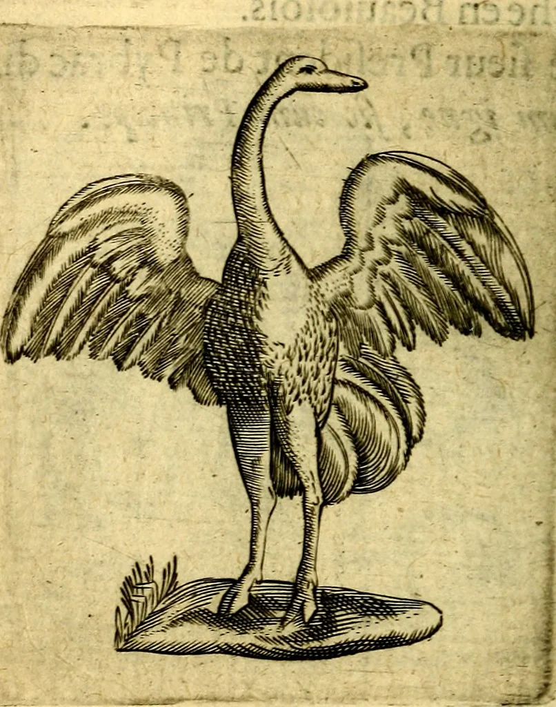 An illustration from Dévises héroiqves et emblèmes, 1622, leaf 71