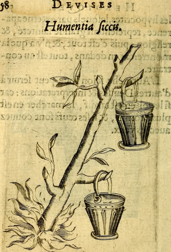 An illustration from Dévises héroiqves et emblèmes, 1622, leaf 73