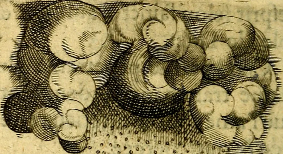 An illustration from Dévises héroiqves et emblèmes, 1622, leaf 81