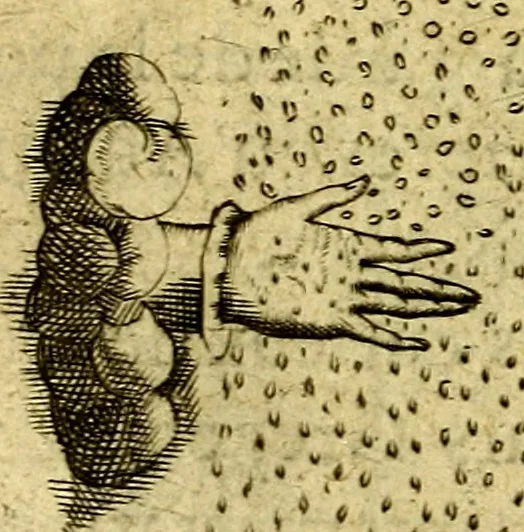 An illustration from Dévises héroiqves et emblèmes, 1622, leaf 81