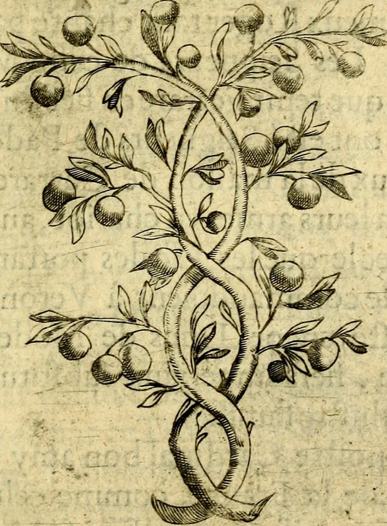 An illustration from Dévises héroiqves et emblèmes, 1622, leaf 84