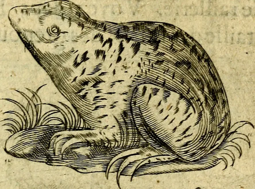 An illustration from Dévises héroiqves et emblèmes, 1622, leaf 94