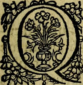 An illustration from Dvodecim specvla Devm aliqvando videre desideranti concinnata, 1610, leaf 22