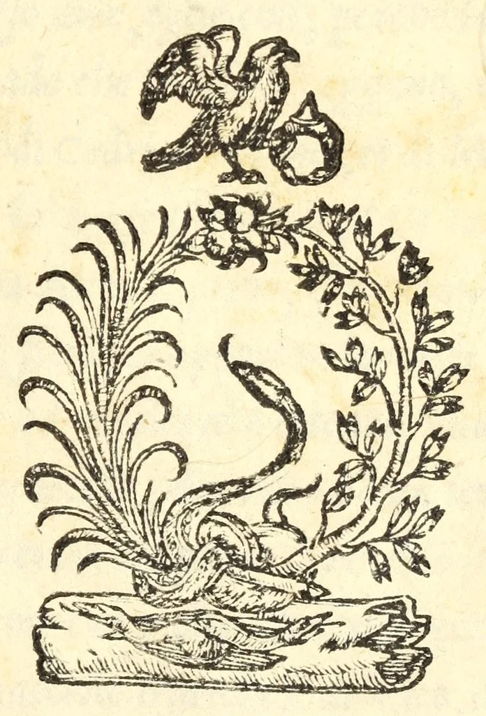 An illustration from Dvo dialoghi della mvsica del Signor Lvigi Dentice, gentil'hvomo Napolitano ; delli quali l'uno tratta della theorica, & l'altro della pratica: raccolti da diuersi autori greci, & latini, 1553, leaf 5