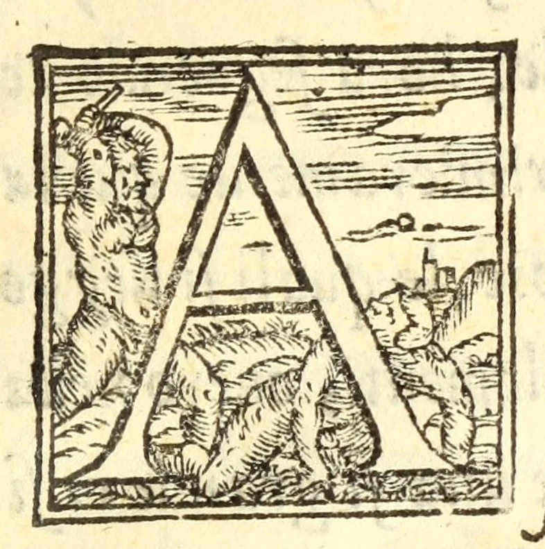 An illustration from Dvo dialoghi della mvsica del Signor Lvigi Dentice, gentil'hvomo Napolitano ; delli quali l'uno tratta della theorica, & l'altro della pratica: raccolti da diuersi autori greci, & latini, 1553, leaf 7