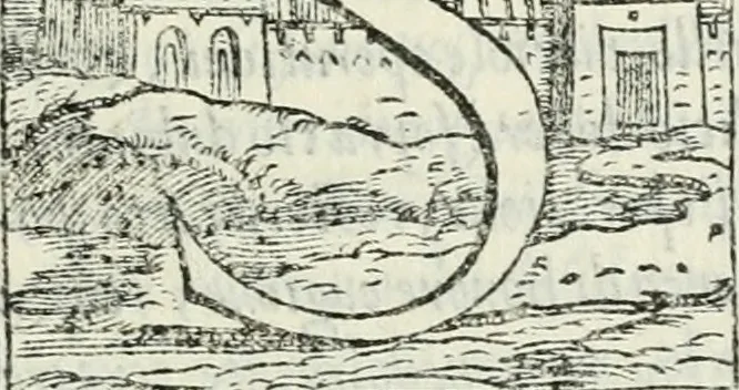 An illustration from Dvo libri di m. Giacomo Lanteri di Paratico da Brescia : del modo di fare le fortificationi de terra intorno alle città, & alle castella per fortificarle : et di fare cosi i forti in campagna per gli alloggiamenti de gli esserciti : come anco per andar sotto ad una terra, & di fare i ripari nella batterie, 1559, leaf 100