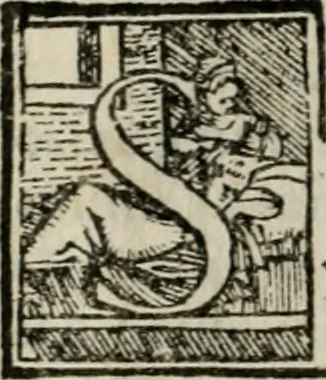 An illustration from Dvo libri di m. Giacomo Lanteri di Paratico da Brescia : del modo di fare le fortificationi de terra intorno alle città, & alle castella per fortificarle : et di fare cosi i forti in campagna per gli alloggiamenti de gli esserciti : come anco per andar sotto ad una terra, & di fare i ripari nella batterie, 1559, leaf 11