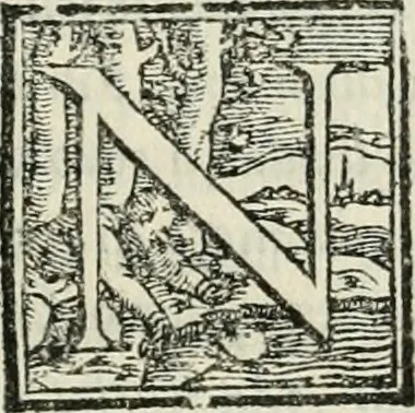 An illustration from Dvo libri di m. Giacomo Lanteri di Paratico da Brescia : del modo di fare le fortificationi de terra intorno alle città, & alle castella per fortificarle : et di fare cosi i forti in campagna per gli alloggiamenti de gli esserciti : come anco per andar sotto ad una terra, & di fare i ripari nella batterie, 1559, leaf 52