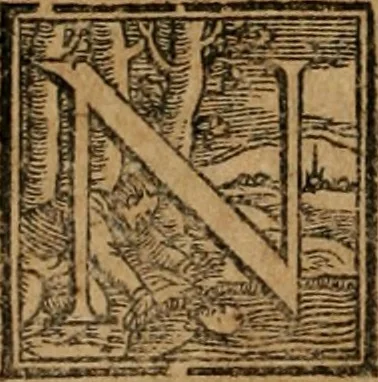 An illustration from Dvo libri di m. Giacomo Lanteri di Paratico da Brescia : del modo di fare le fortificationi de terra intorno alle città, & alle castella per fortificarle : et di fare cosi i forti in campagna per gli alloggiamenti de gli esserciti : come anco per andar sotto ad una terra, & di fare i ripari nella batterie, 1559, leaf 67