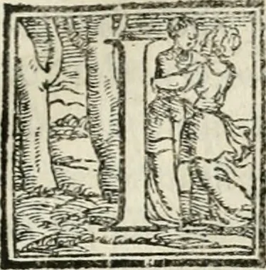 An illustration from Dvo libri di m. Giacomo Lanteri di Paratico da Brescia : del modo di fare le fortificationi de terra intorno alle città, & alle castella per fortificarle : et di fare cosi i forti in campagna per gli alloggiamenti de gli esserciti : come anco per andar sotto ad una terra, & di fare i ripari nella batterie, 1559, leaf 76