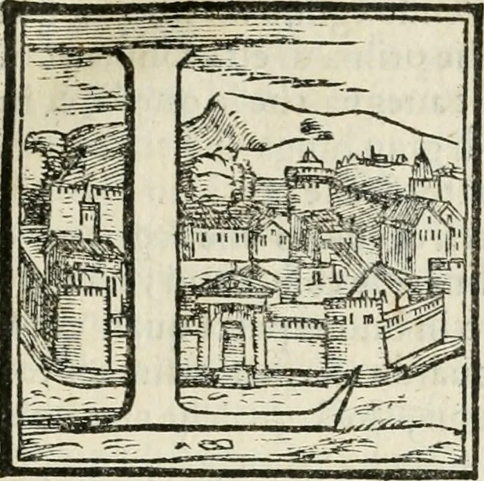 An illustration from Dvo libri di m. Giacomo Lanteri di Paratico da Brescia : del modo di fare le fortificationi de terra intorno alle città, & alle castella per fortificarle : et di fare cosi i forti in campagna per gli alloggiamenti de gli esserciti : come anco per andar sotto ad una terra, & di fare i ripari nella batterie, 1559, leaf 8