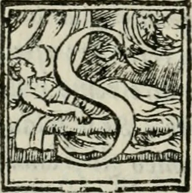 An illustration from Dvo libri di m. Giacomo Lanteri di Paratico da Brescia : del modo di fare le fortificationi de terra intorno alle città, & alle castella per fortificarle : et di fare cosi i forti in campagna per gli alloggiamenti de gli esserciti : come anco per andar sotto ad una terra, & di fare i ripari nella batterie, 1559, leaf 95