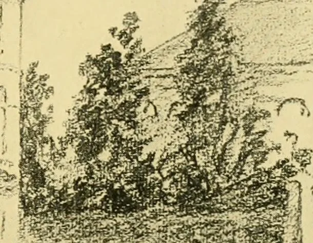 An illustration from The dwelling houses of Charleston, South Carolina, 1917, leaf 157