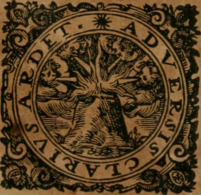 An illustration from Dyas chymica tripartita, das ist, Sechs herzliche deutsche philosophische Tractätlein : deren II. von an jtzo noch im Leben, II. von mitlern Alters, und II. von ältern Philosophis beschrieben Worden : nunmehr aber allen Filiis doctrinae zu Nutz an Tag geben, und mit schönen Figuren gezieret, 1625, leaf 92