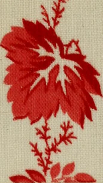An illustration from Dyeing and calico printing, 1878, leaf 113