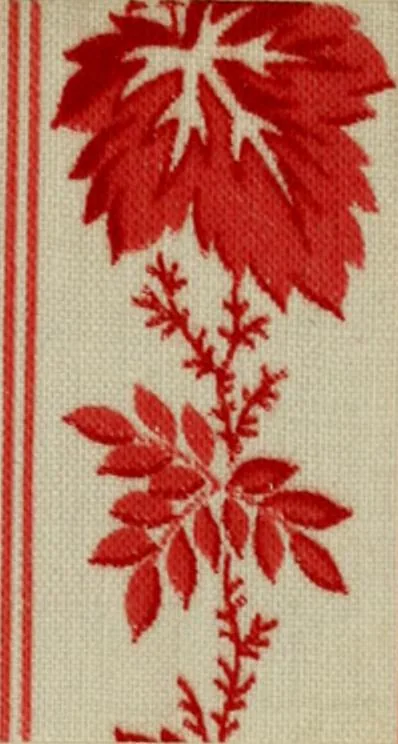 An illustration from Dyeing and calico printing, 1878, leaf 113