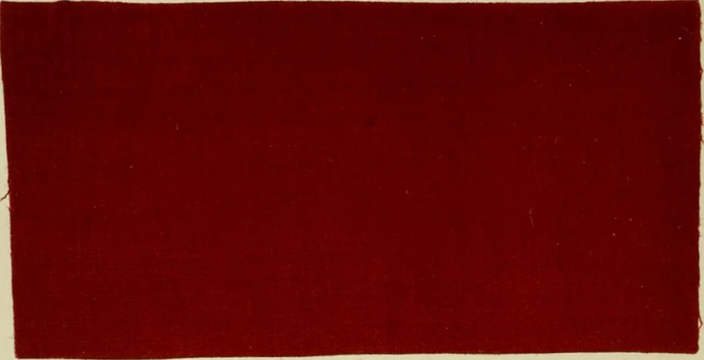 An illustration from Dyeing and calico printing, 1878, leaf 170