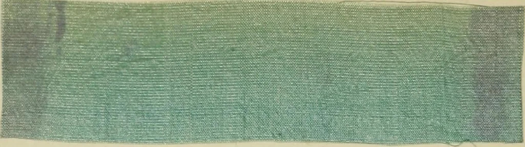 An illustration from Dyeing and calico printing, 1878, leaf 340