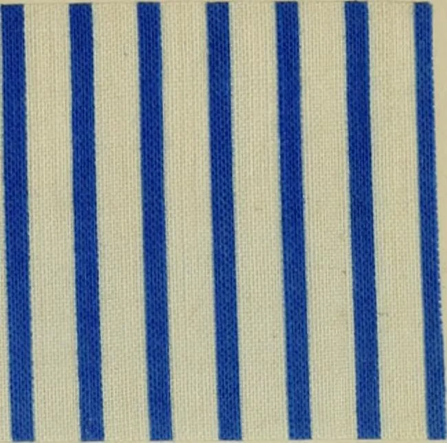 An illustration from Dyeing and calico printing, 1878, leaf 451