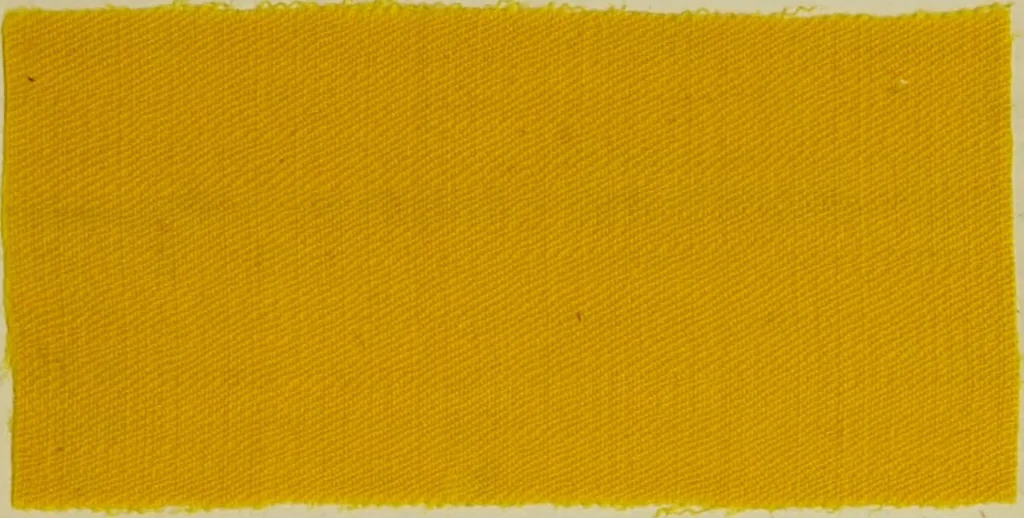 An illustration from Dyeing and calico printing, 1878, leaf 467