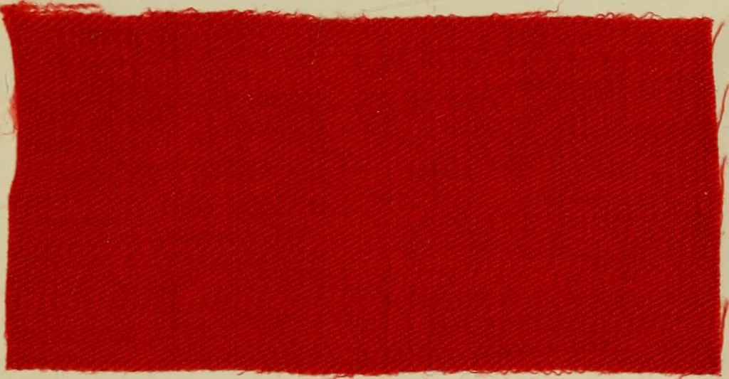 An illustration from Dyeing and calico printing, 1878, leaf 499