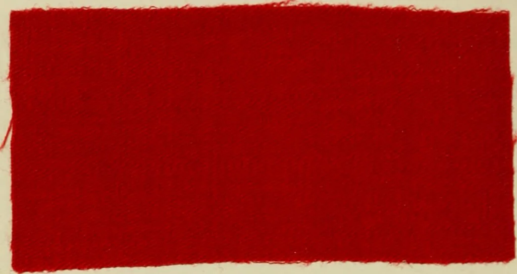 An illustration from Dyeing and calico printing, 1878, leaf 502