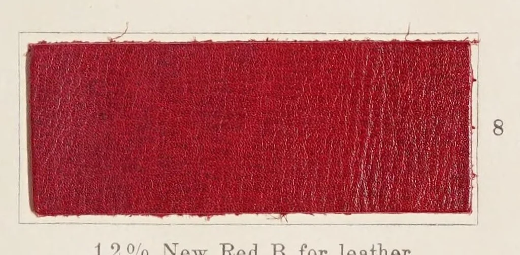 An illustration from The dyeing of chrome leather with the dyestuffs of the Cassella Color Company., 1900, leaf 21
