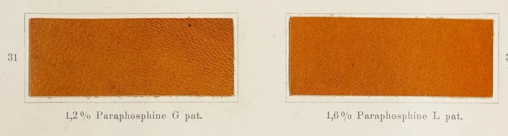 An illustration from The dyeing of chrome leather with the dyestuffs of the Cassella Color Company., 1900, leaf 27