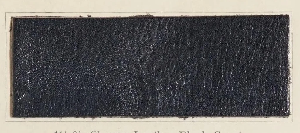An illustration from The dyeing of chrome leather with the dyestuffs of the Cassella Color Company., 1900, leaf 29