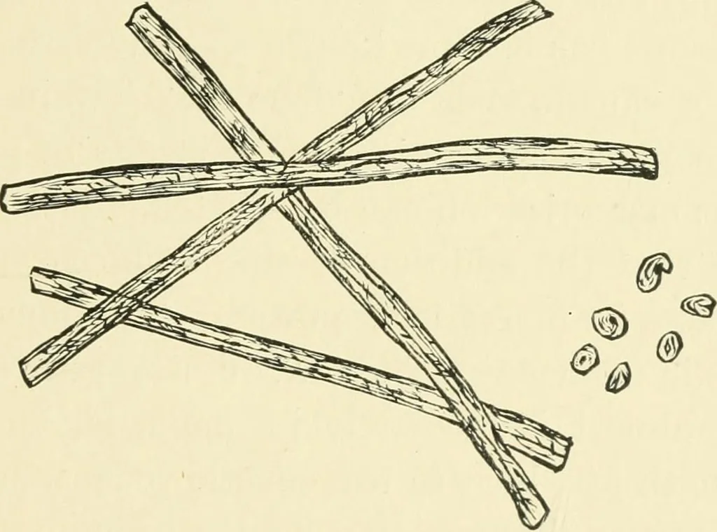 An illustration from The dyeing of cotton fabrics : a practical handbook for the dyer and student, 1901, leaf 19