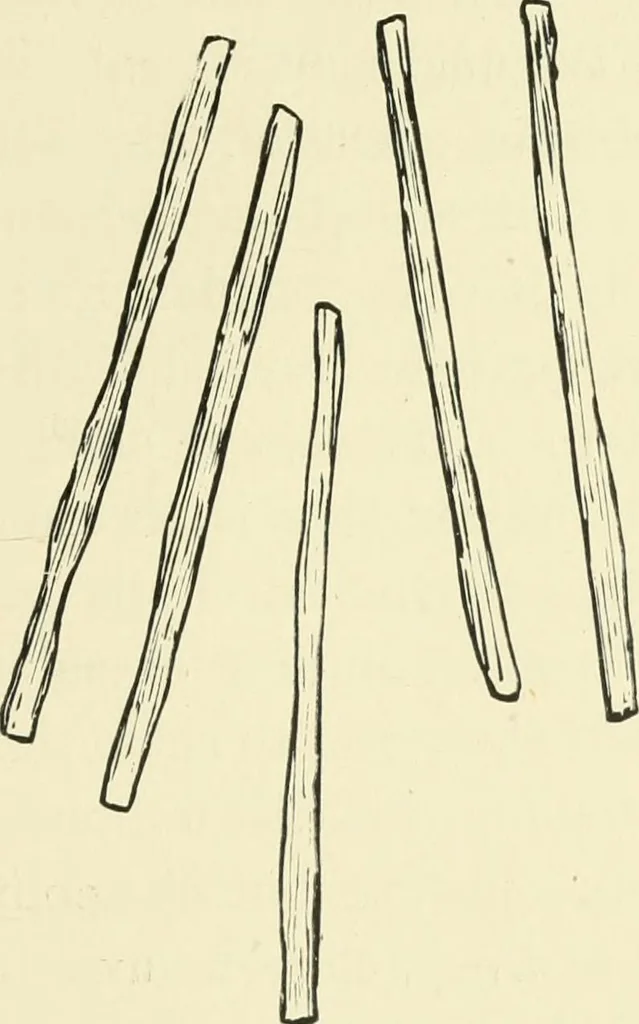 An illustration from The dyeing of cotton fabrics : a practical handbook for the dyer and student, 1901, leaf 21