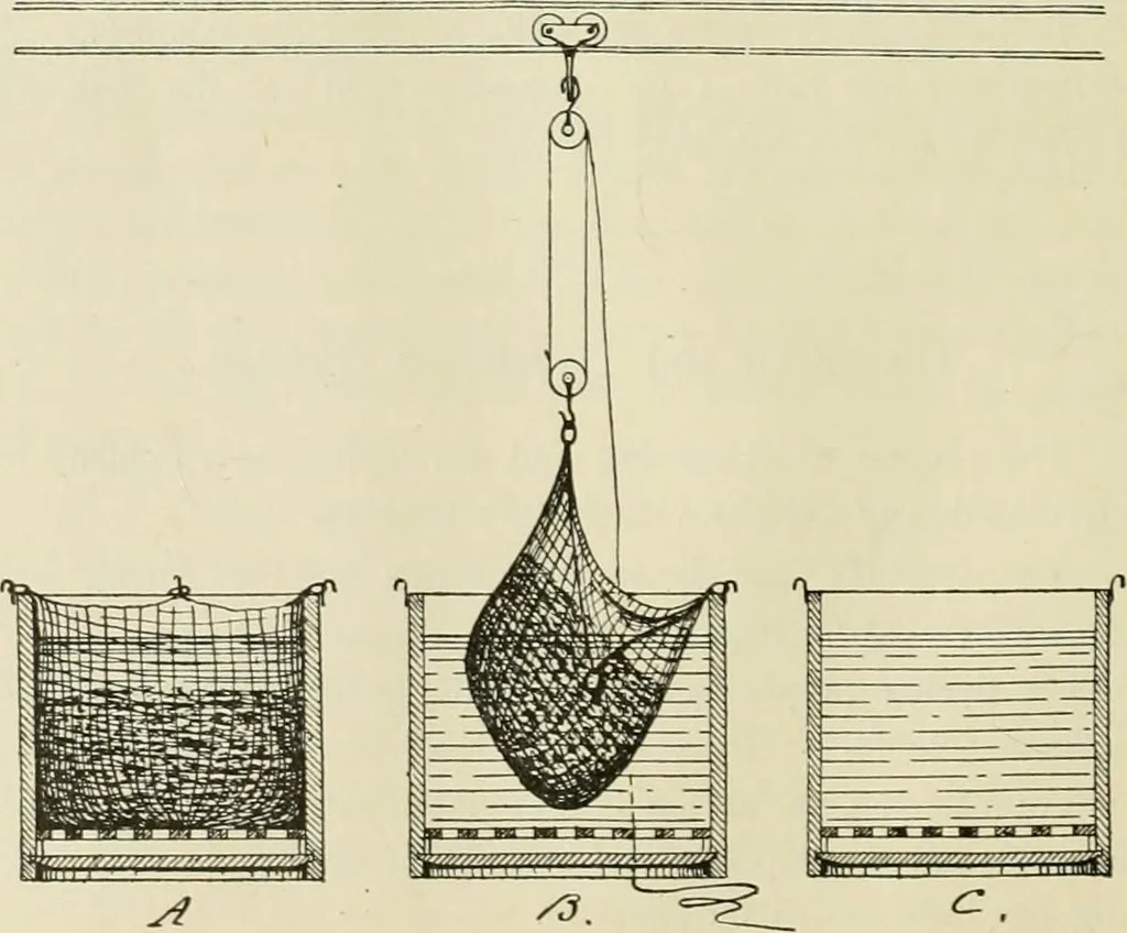 An illustration from The dyeing of cotton and other vegetable fibres with the dyestuffs of Leopold Cassella & Co. Frankfort o. M, 1902, leaf 207